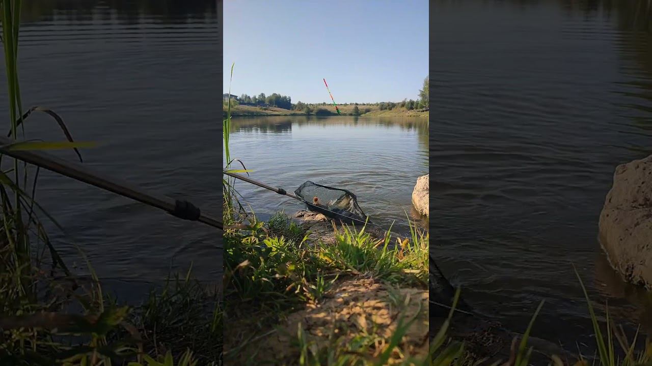 Рыбалка в Туле - 