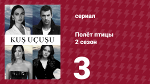 Полёт птицы 2 сезон 3 серия (сериал, 2024)