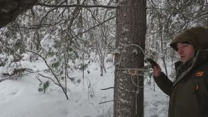 Новая территория промысла. 60 км от прежних мест. Итог – шокировал.