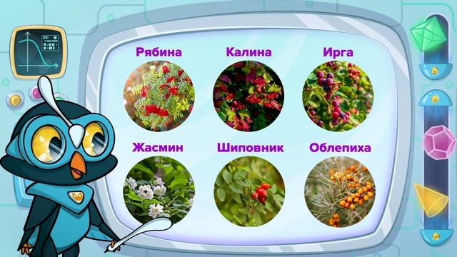 Урок Окружающий мир, тема Растения развивающее для детей развивавши смотреть онлайн