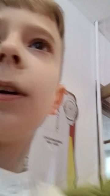 VID_20260128_133828.mp4 смотреть онлайн