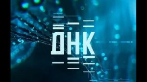 ДНК 28.01.2026 обзор