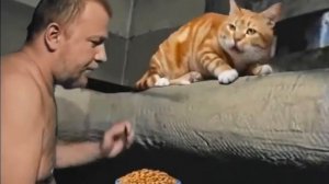 Котишка! Как поспал, котишка? Проголодался, наверное? ( Зелёный слоник)