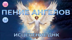 ГОЛОСА АНГЕЛОВ ⚡ИСЦЕЛЕНИЕ ДНК ⚡ЭНЕРГИЯ СВЕТА В ВАШУ ДУШУ | SkillGenius⚡МАСТЕР ГЕНИЯ