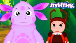 ЛУНТИК - РАЗВИВАЮЩИЙ МУЛЬТИК ДЛЯ МАЛЫШЕЙ - ХОЧУ ВСЁ ЗНАТЬ ЛУНТИК И ЕГО ДРУЗЬЯ