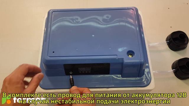 Настройка и запуск инкубатора WQ-24 смотреть онлайн