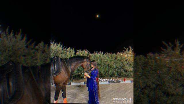 ✨️Новая Цыганская песня Лизгин билаш забагандём⚜️ смотреть онлайн