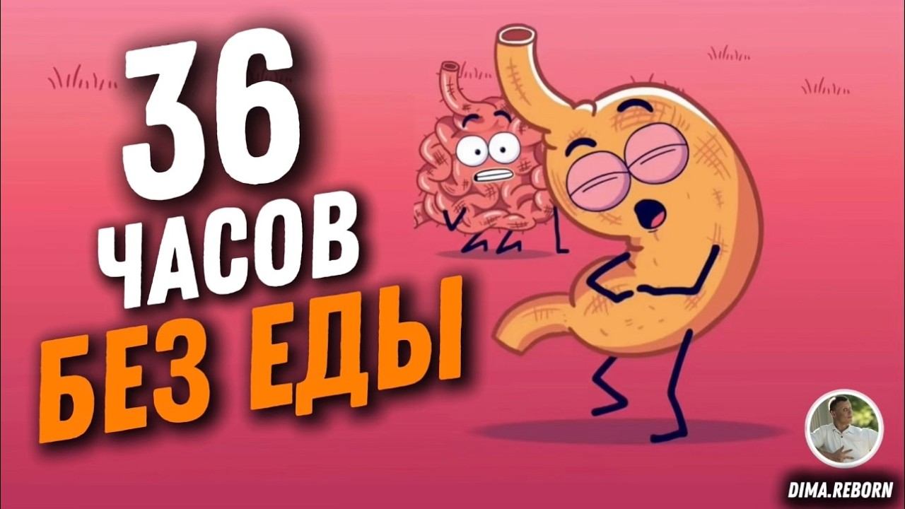 Голодание 36 часов без еды , что будет с вашими органами
