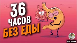 Голодание 36 часов без еды , что будет с вашими органами