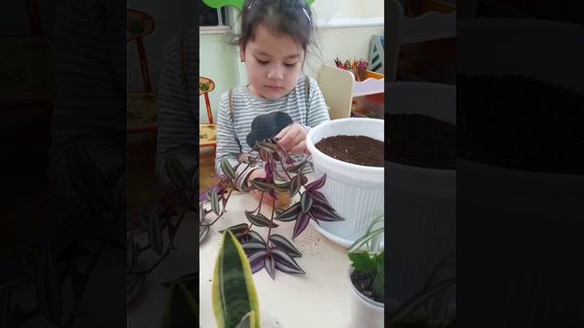 Познавательное занятие смотреть онлайн