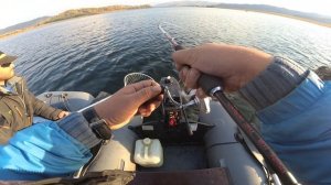 ГИГАНТСКАЯ ЩУКА КЛЮНУЛА