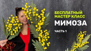 Мимоза бесплатный мастер-класс