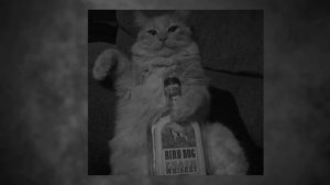 ОПИСАНИЕ СЪЕЛА УТКА... 
название песни -- Никогда:З