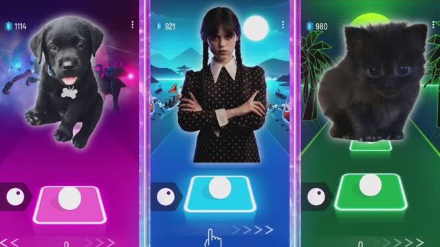 Cute Dog🐶 vs Wednesday Addams💃🏻 vs Cute Cat😻I Lady Gaga Bloody-Mary Bongo Cat Tiles Hop EDM Rush