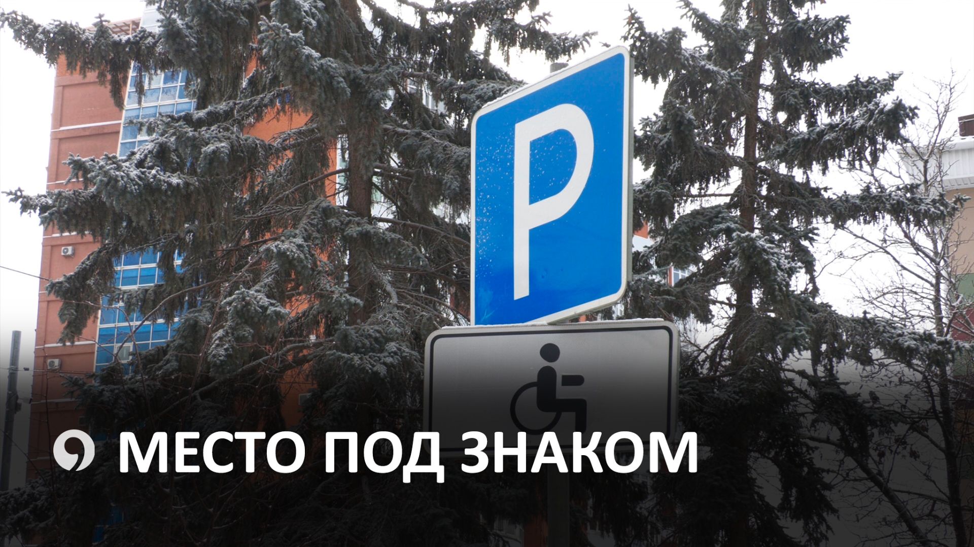 В Ставрополе продолжается рейд по парковочным местам для людей с ОВЗ смотреть онлайн