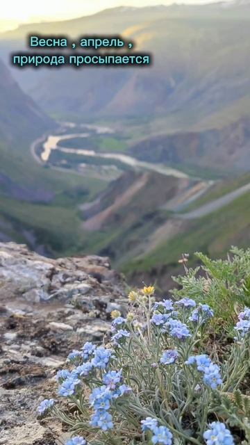 Алтай весной