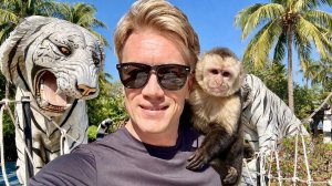 ЖИВНОСТЬ В ТАИЛАНДЕ. Самые опасные животные. Зоопарки в Паттайе.