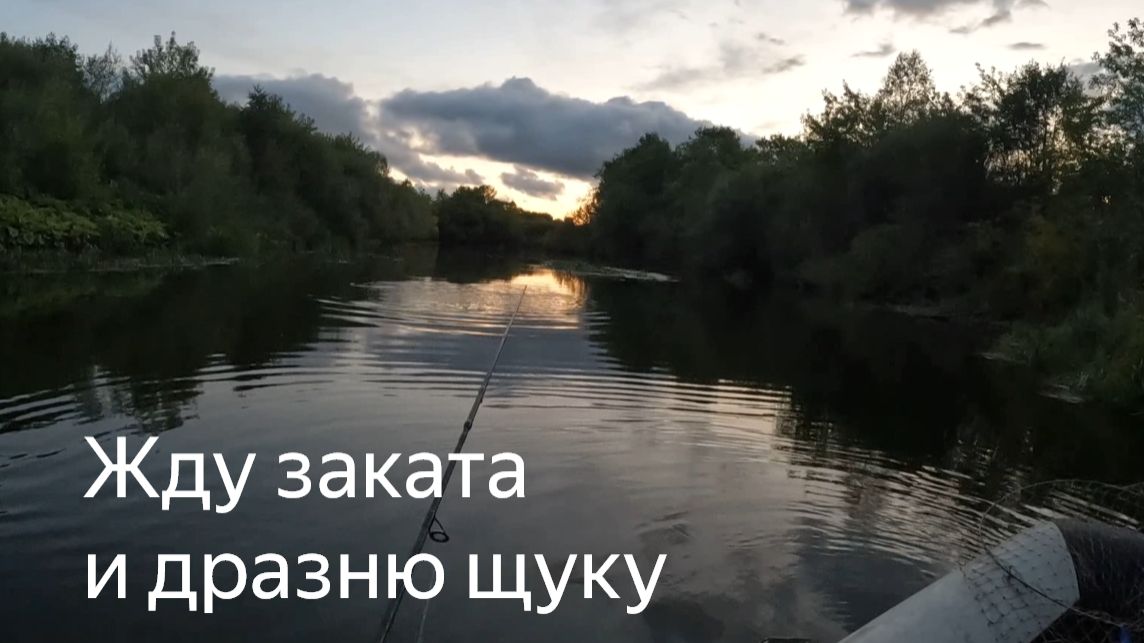 Особый способ ловли спиннингом в бесклевье - дразнение щуки после заката