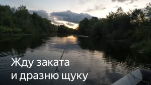 Особый способ ловли спиннингом в бесклевье - дразнение щуки после заката
