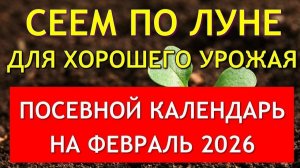 ЛУННЫЙ ПОСЕВНОЙ КАЛЕНДАРЬ ОГОРОДНИКА На Февраль 2026