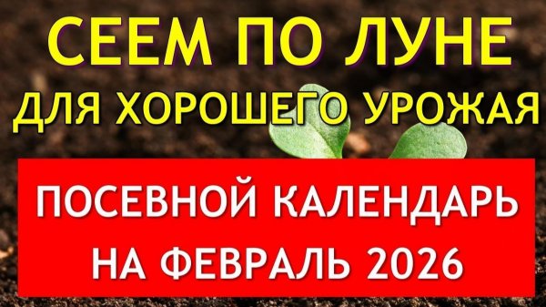 Когда сеять на рассаду в ФЕВРАЛЕ 2026. Точный лунный посевной календарь на февраль 2026 по дням.