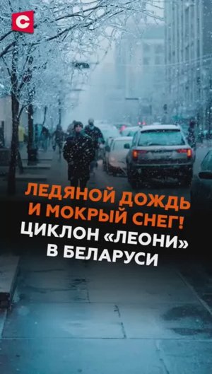 Ледяной дождь и мокрый снег! Циклон «Леони» в Беларуси