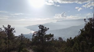 28 января 2026 г. Массандровская тропа #ялта #ялта2026 #массандровскаятропа