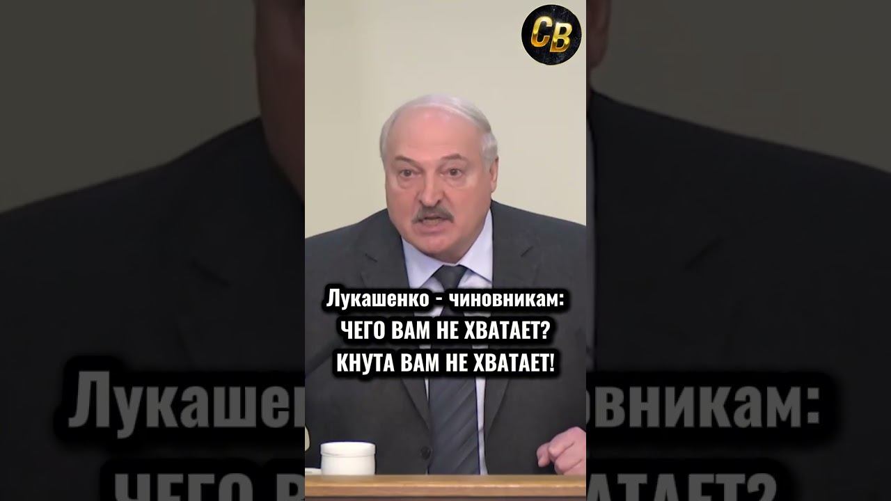 ЛУКАШЕНКО РАЗНОСИТ ЧИНОВНИКОВ #шортс #лукашенко #беларусь смотреть онлайн