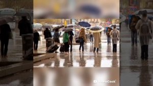 Дождь и слезы