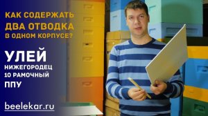 Как содержать два отводка в одном корпусе в улье ППУ Нижегородец