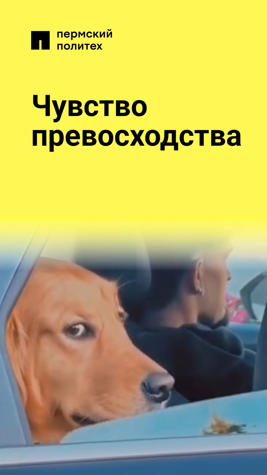 Сегодня я на такси! смотреть онлайн