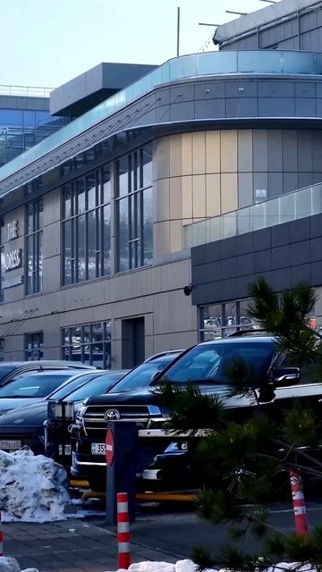 Утро Алматы. 29.01.2026