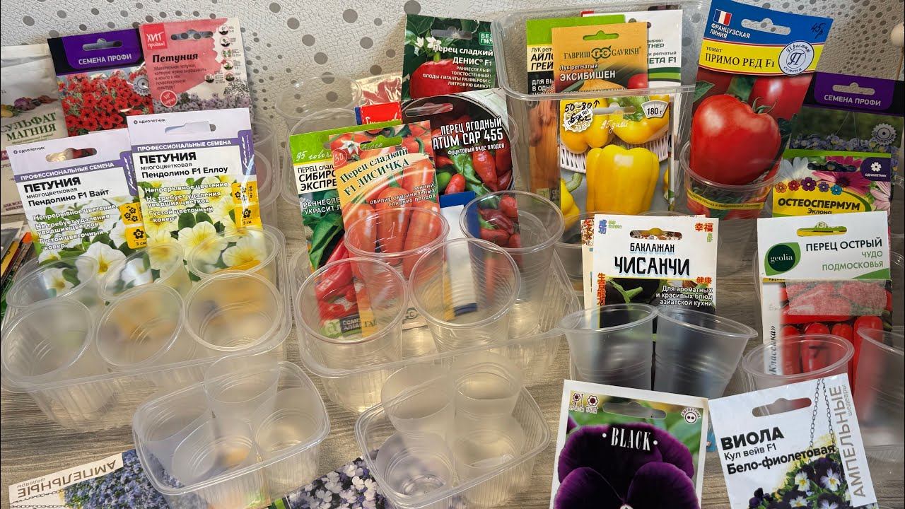 Большая ПОСЕВНАЯ 22.02.25 овощи и цветы смотреть онлайн