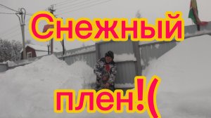 Проигрываю снежную  войну! Битва в окружении!)29-01-2026