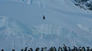 Разума игра