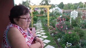 Летний вечер на 6 сотках в середине июля 2021 года.