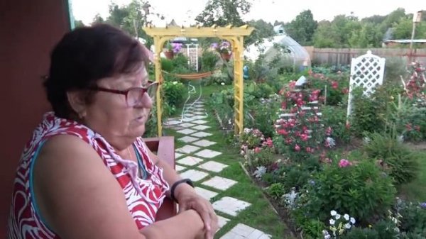 Летний вечер на 6 сотках в середине июля 2021 года.