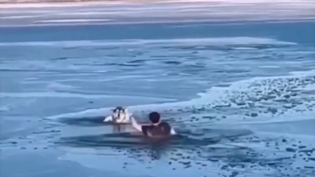 Вера в человечество смотреть онлайн