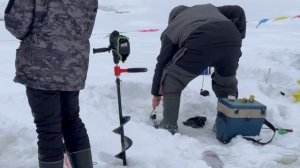 Поимки форели