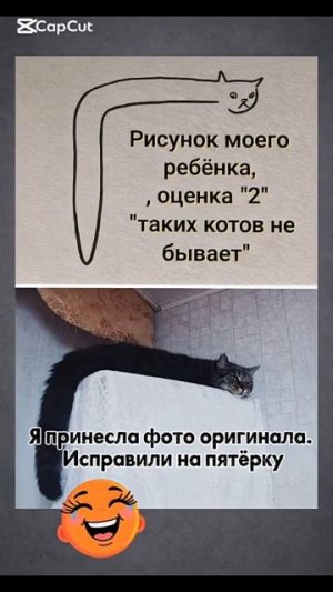Кот 1в1😆