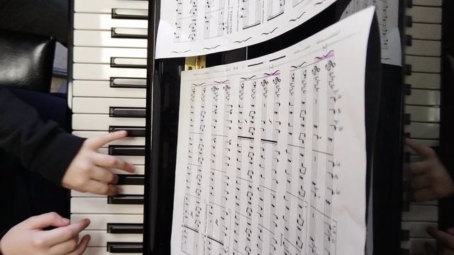 VID_20260129_143233.mp4