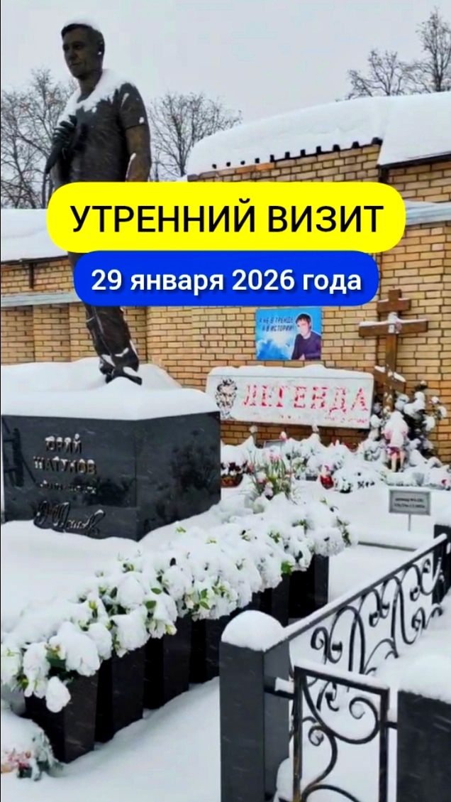 В объятиях зимы: утренний покой могилы Юрия Шатунова #shorts #2026 #шатунов #белыерозы #ласковыймай смотреть онлайн