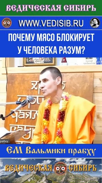 Почему мясо Блокирует у человека Разум ?!!! смотреть онлайн