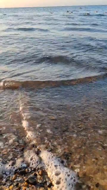 Хочу на море 4. 2026. Naomix.ru