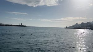Ялта. Солнечный январь. Набережная и В.И.Ленин. Море. Полный январский релакс. 28.01.26. Крым.Crimea