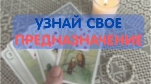 ✨В ЧЕМ ВАШЕ ПРЕДНАЗНАЧЕНИЕ⁉️ УЗНАЕМ🕊️