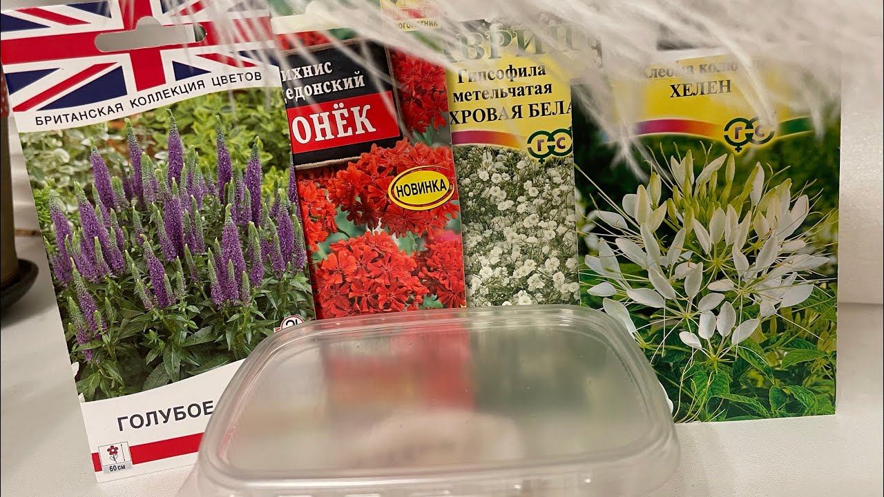 ЛЕГКИЙ способ СТРАТИФИКАЦИИ семян! Какие цветы? 2 часть! смотреть онлайн