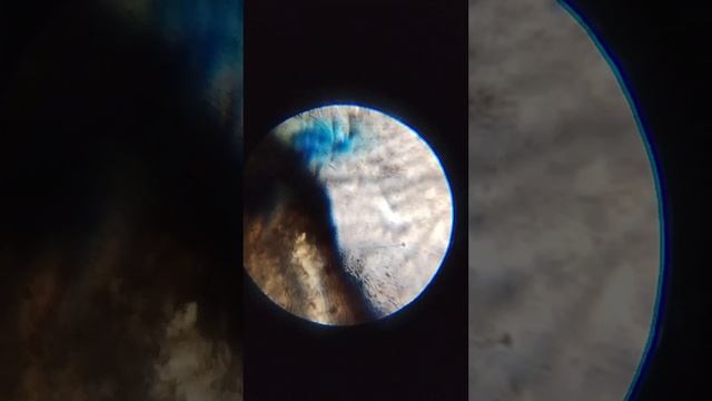 разные предметы под микроскопом 😱