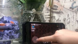 Я в живу в гробу в Minecraft