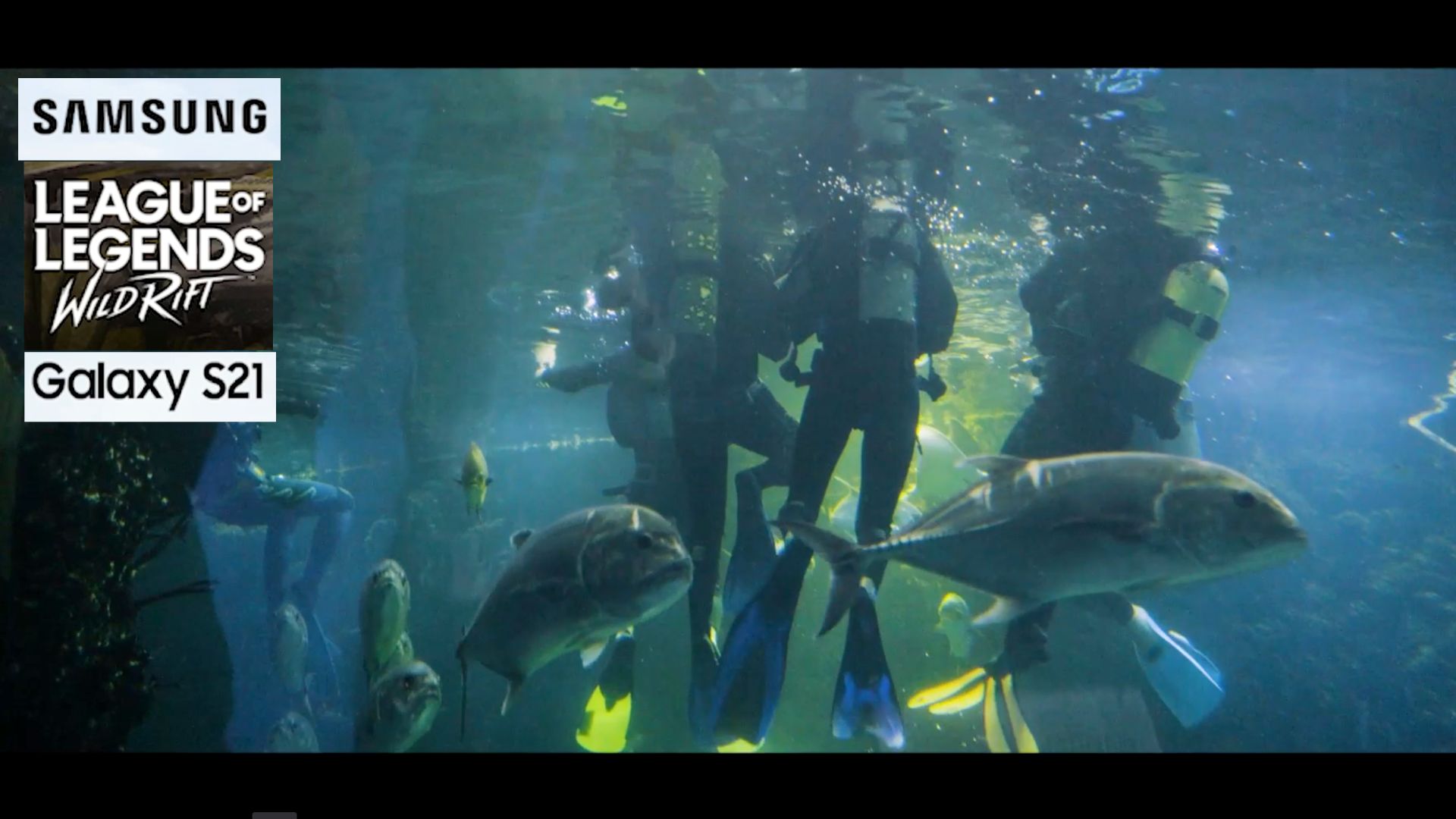 Samsung&LoLWildRift (ШОУ Promo Видео)